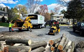 Best Arborist Consultation Services  in Irvington, NY