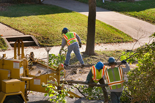Best Landscape Design and Installation  in Irvington, NY